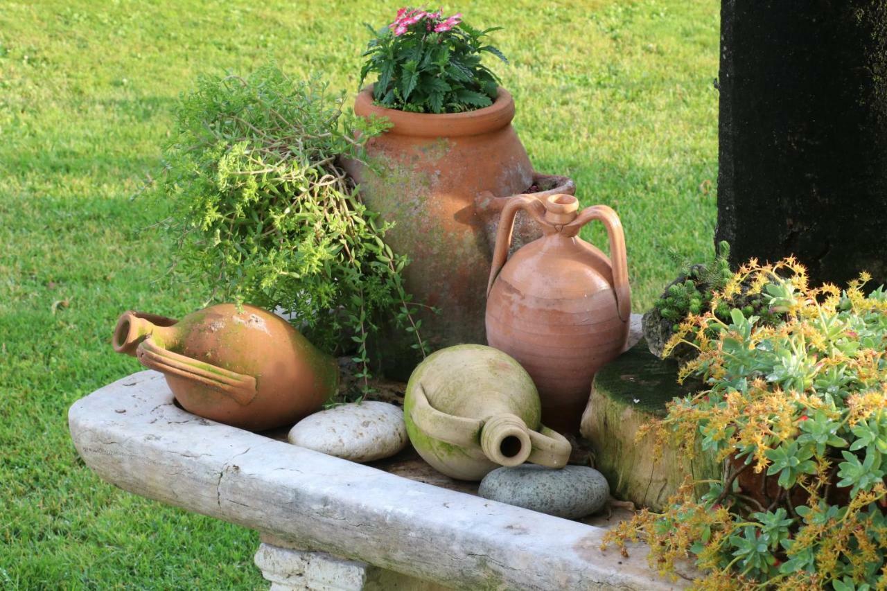Hébergement de vacances Casacobelli *